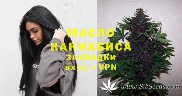 молекула духа Алексеевка