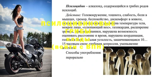 молекула духа Алексеевка
