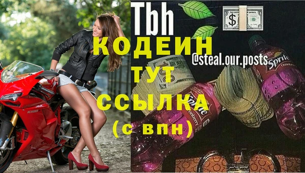 прущие грибы Абдулино